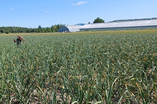 Bâtiment - Le Petit Mas