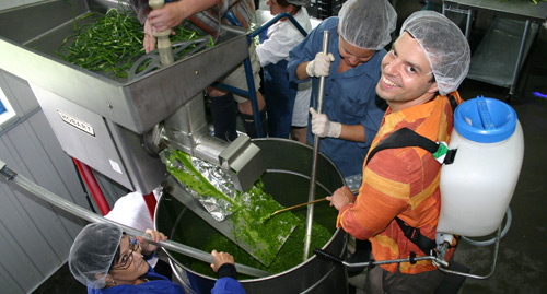 Le Petit Mas - Entreprise innovante avec la fleur d'ail fermentée